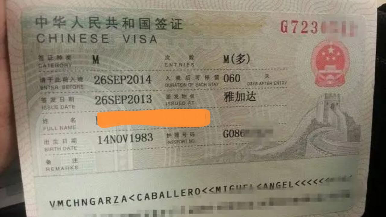 Chinese Visa M