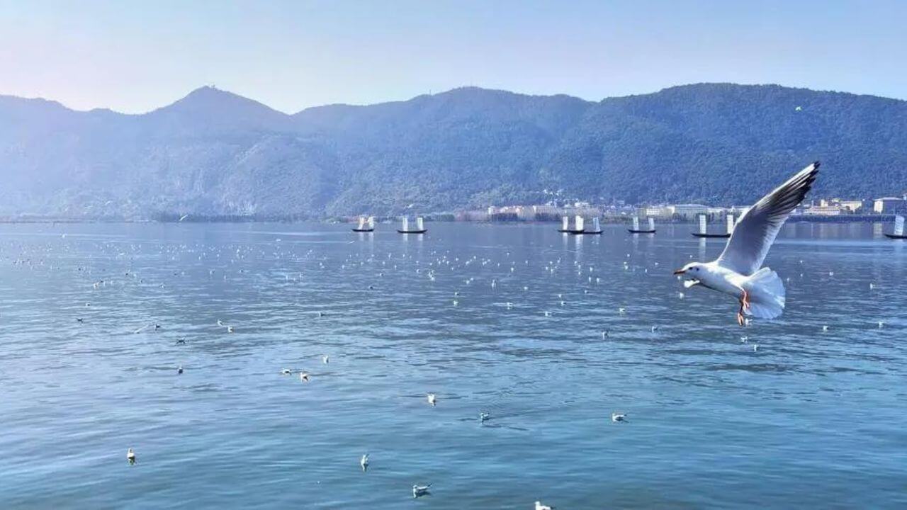 Dianchi Lake