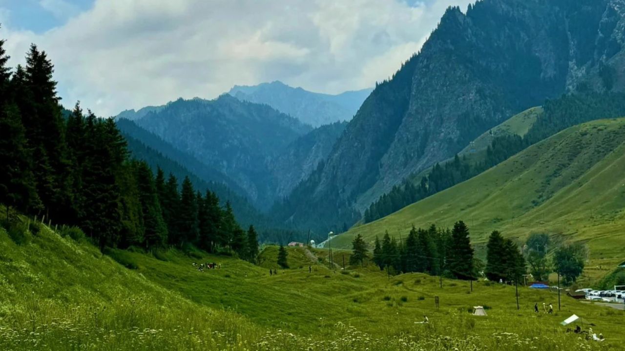 Southern Pasture
