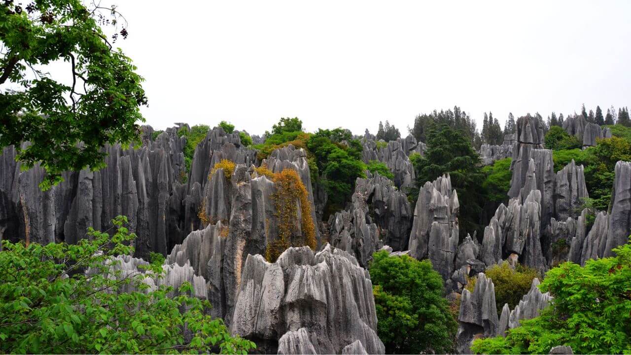 Stone Forest (Shilin)