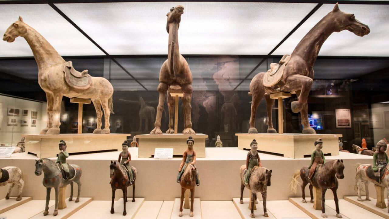 Visit Xinjiang Regional Museum
