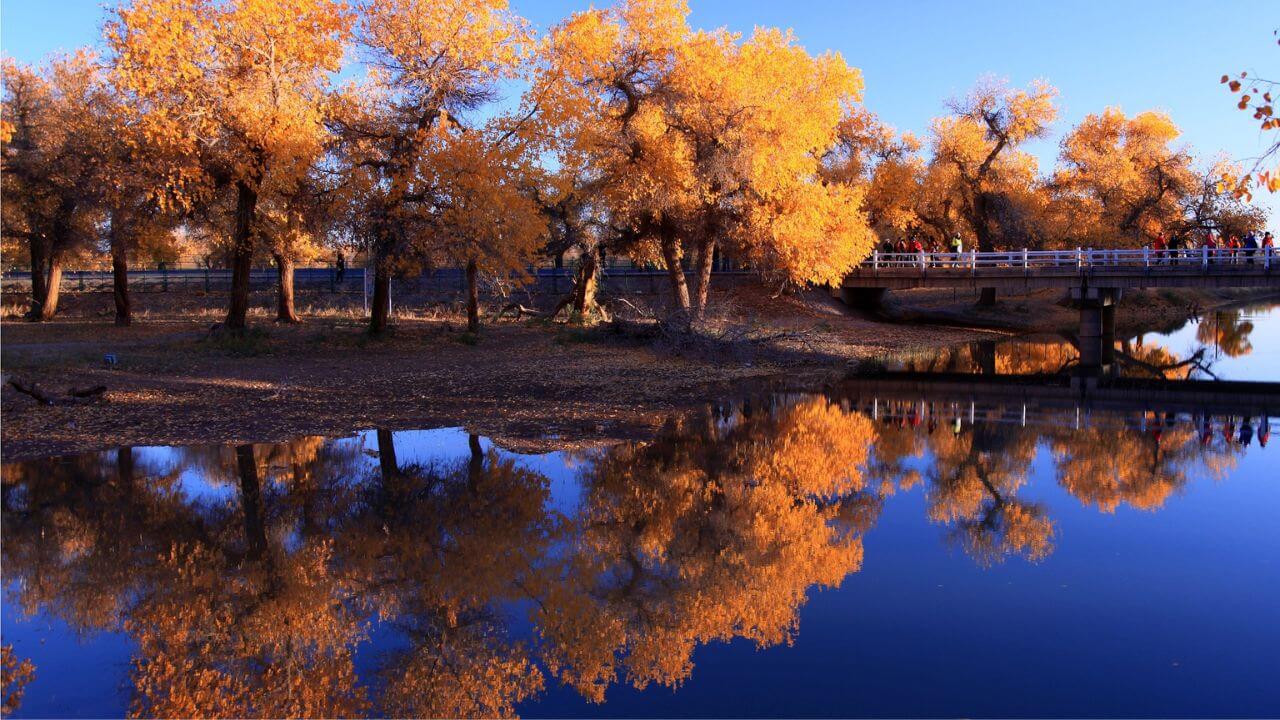 Xinjiang in autumn