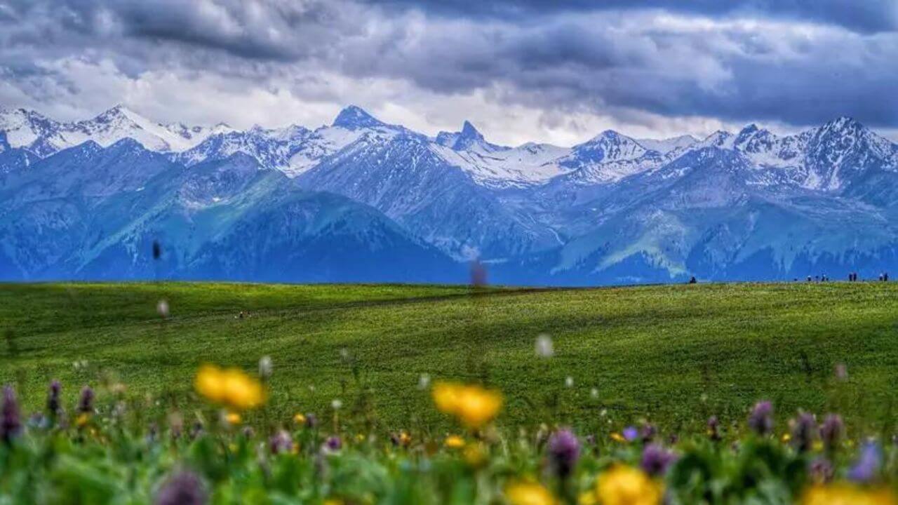 Xinjiang